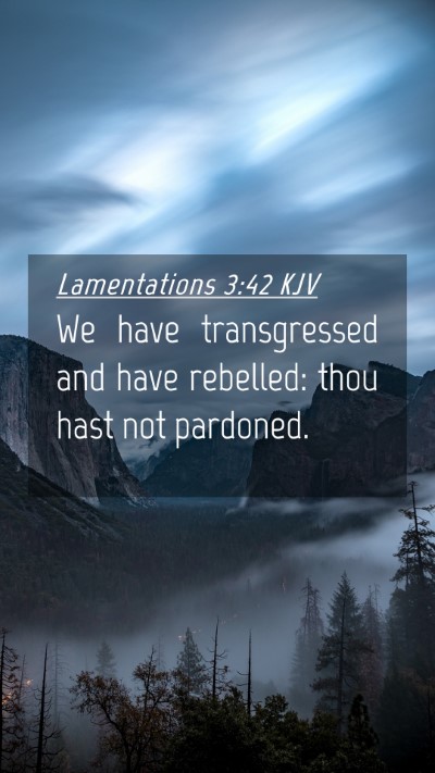 Picture 04 - Lamentations 3:42 KJV Mobile Phone Wallpaper - We have transgressed and have rebelled: thou hast - Mobile Bible Verse Wallpaper