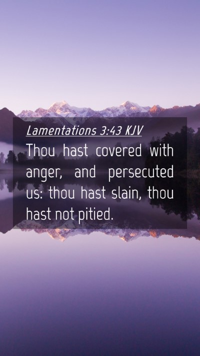 Picture 04 - Lamentations 3:43 KJV Mobile Phone Wallpaper - Thou hast covered with anger, and persecuted us: - Mobile Bible Verse Wallpaper