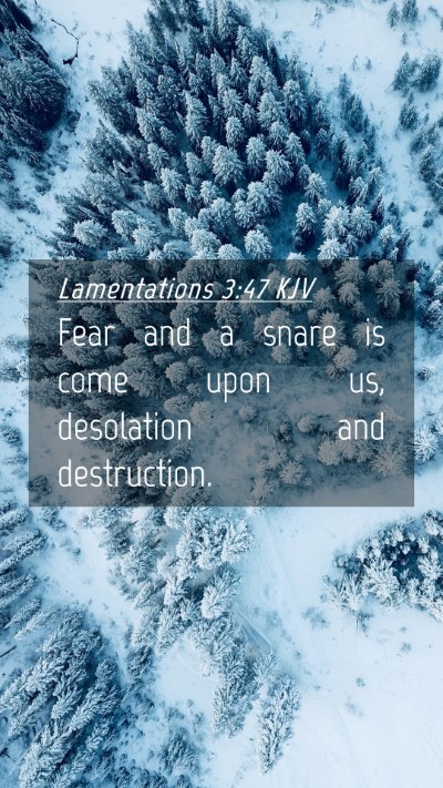 Picture 04 - Lamentations 3:47 KJV Mobile Phone Wallpaper - Fear and a snare is come upon us, desolation and - Mobile Bible Verse Wallpaper