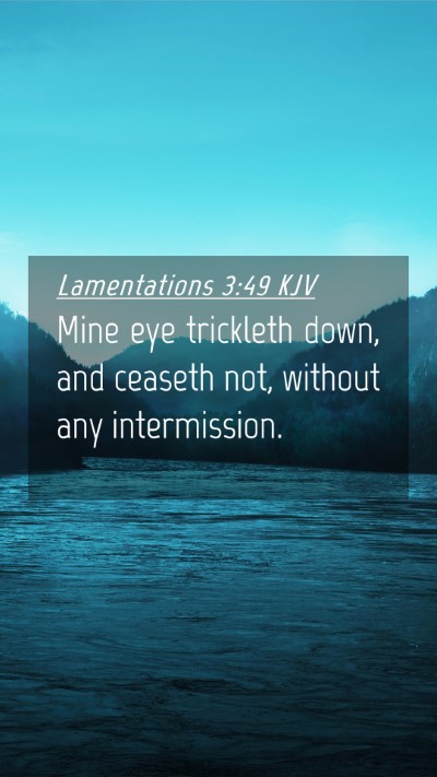 Picture 04 - Lamentations 3:49 KJV Mobile Phone Wallpaper - Mine eye trickleth down, and ceaseth not, without - Mobile Bible Verse Wallpaper