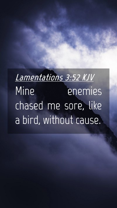 Picture 04 - Lamentations 3:52 KJV Mobile Phone Wallpaper - Mine enemies chased me sore, like a bird, without - Mobile Bible Verse Wallpaper