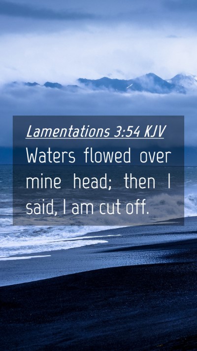 Picture 04 - Lamentations 3:54 KJV Mobile Phone Wallpaper - Waters flowed over mine head; then I said, I am - Mobile Bible Verse Wallpaper