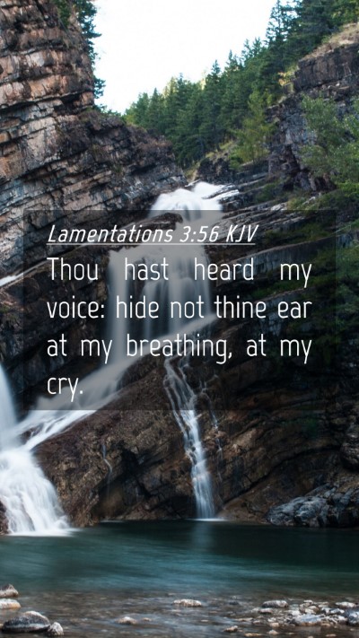 Picture 04 - Lamentations 3:56 KJV Mobile Phone Wallpaper - Thou hast heard my voice: hide not thine ear at - Mobile Bible Verse Wallpaper