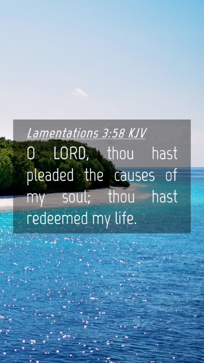 Picture 04 - Lamentations 3:58 KJV Mobile Phone Wallpaper - O LORD, thou hast pleaded the causes of my soul; - Mobile Bible Verse Wallpaper