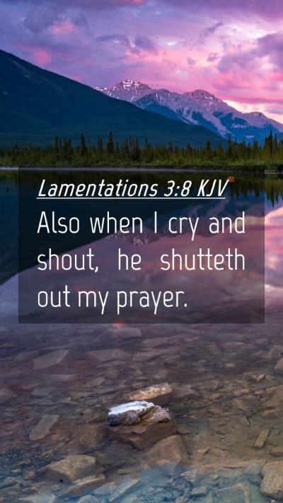 Picture 04 - Lamentations 3:8 KJV Mobile Phone Wallpaper - Also when I cry and shout, he shutteth out my - Mobile Bible Verse Wallpaper