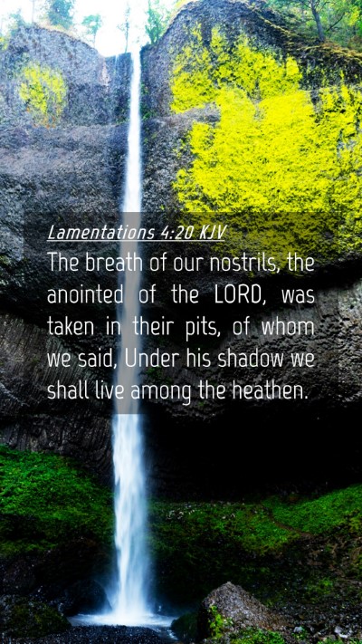 Picture 04 - Lamentations 4:20 KJV Mobile Phone Wallpaper - The breath of our nostrils, the anointed of the - Mobile Bible Verse Wallpaper