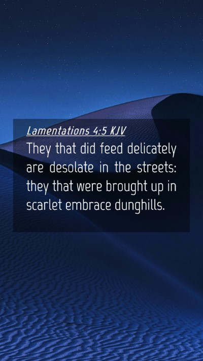 Picture 04 - Lamentations 4:5 KJV Mobile Phone Wallpaper - They that did feed delicately are desolate in the - Mobile Bible Verse Wallpaper