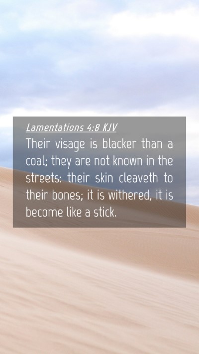 Picture 04 - Lamentations 4:8 KJV Mobile Phone Wallpaper - Their visage is blacker than a coal; they are not - Mobile Bible Verse Wallpaper