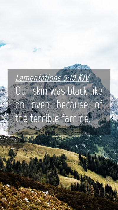 Picture 04 - Lamentations 5:10 KJV Mobile Phone Wallpaper - Our skin was black like an oven because of the - Mobile Bible Verse Wallpaper