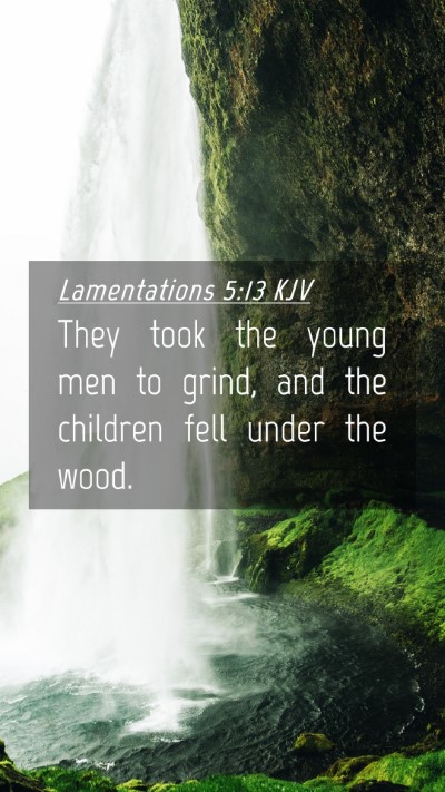 Picture 04 - Lamentations 5:13 KJV Mobile Phone Wallpaper - They took the young men to grind, and the - Mobile Bible Verse Wallpaper