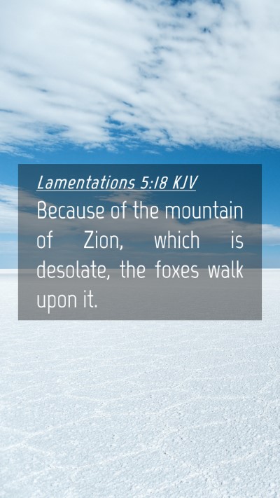 Picture 04 - Lamentations 5:18 KJV Mobile Phone Wallpaper - Because of the mountain of Zion, which is - Mobile Bible Verse Wallpaper