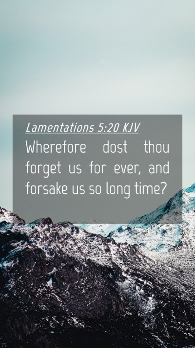 Picture 04 - Lamentations 5:20 KJV Mobile Phone Wallpaper - Wherefore dost thou forget us for ever, and - Mobile Bible Verse Wallpaper