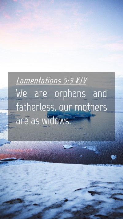 Picture 04 - Lamentations 5:3 KJV Mobile Phone Wallpaper - We are orphans and fatherless, our mothers are as - Mobile Bible Verse Wallpaper