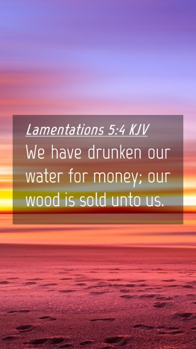 Picture 04 - Lamentations 5:4 KJV Mobile Phone Wallpaper - We have drunken our water for money; our wood is - Mobile Bible Verse Wallpaper