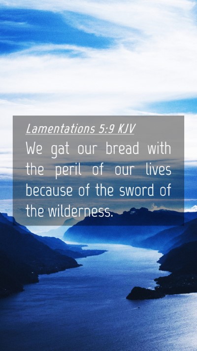 Picture 04 - Lamentations 5:9 KJV Mobile Phone Wallpaper - We gat our bread with the peril of our lives - Mobile Bible Verse Wallpaper