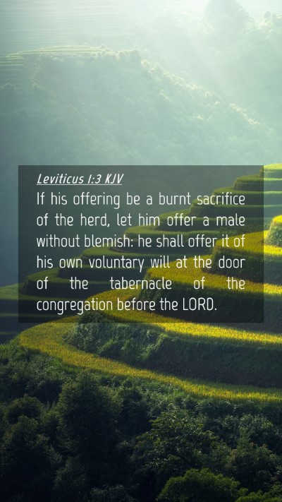 Picture 04 - Leviticus 1:3 KJV Mobile Phone Wallpaper - If his offering be a burnt sacrifice of the herd, - Mobile Bible Verse Wallpaper
