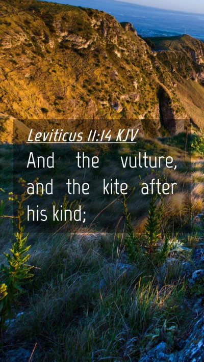 Picture 04 - Leviticus 11:14 KJV Mobile Phone Wallpaper - And the vulture, and the kite after his - Mobile Bible Verse Wallpaper