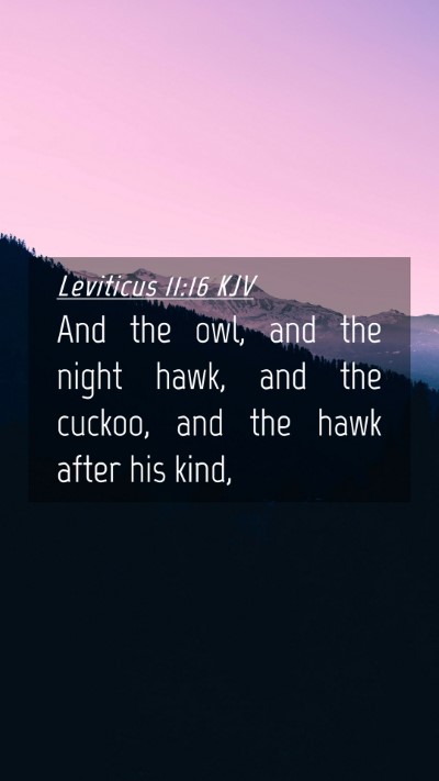 Picture 04 - Leviticus 11:16 KJV Mobile Phone Wallpaper - And the owl, and the night hawk, and the cuckoo, - Mobile Bible Verse Wallpaper