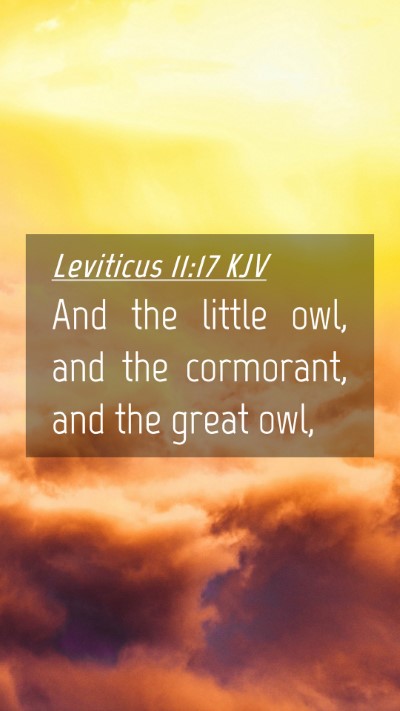 Picture 04 - Leviticus 11:17 KJV Mobile Phone Wallpaper - And the little owl, and the cormorant, and the - Mobile Bible Verse Wallpaper