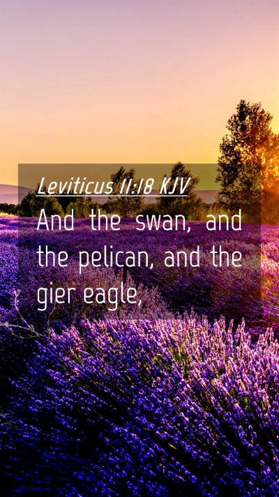 Picture 04 - Leviticus 11:18 KJV Mobile Phone Wallpaper - And the swan, and the pelican, and the gier - Mobile Bible Verse Wallpaper