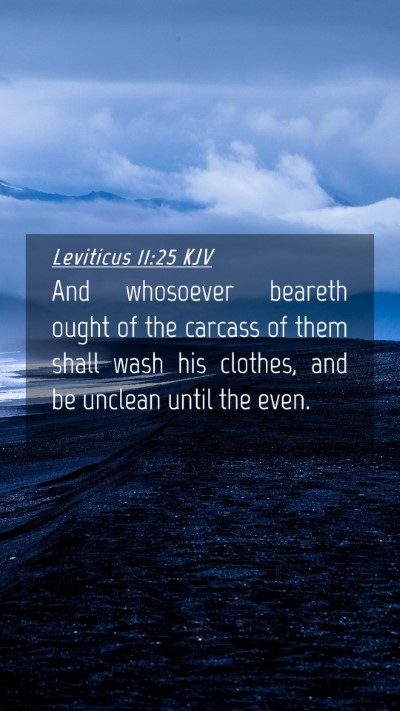 Picture 04 - Leviticus 11:25 KJV Mobile Phone Wallpaper - And whosoever beareth ought of the carcass of - Mobile Bible Verse Wallpaper