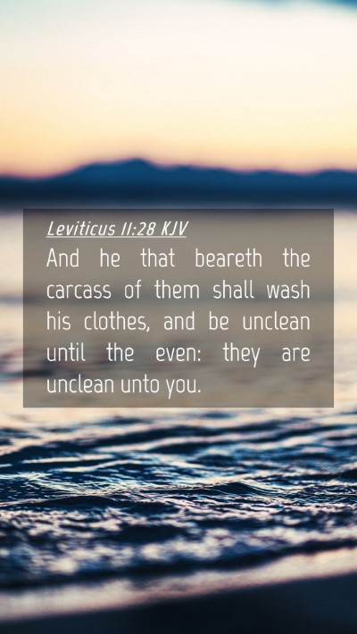 Picture 04 - Leviticus 11:28 KJV Mobile Phone Wallpaper - And he that beareth the carcass of them shall - Mobile Bible Verse Wallpaper