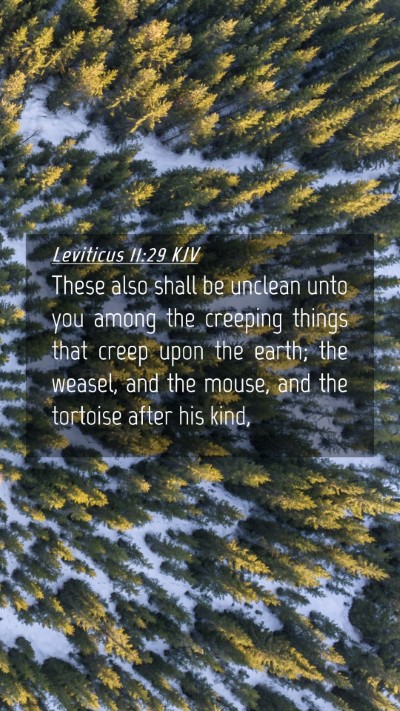 Picture 04 - Leviticus 11:29 KJV Mobile Phone Wallpaper - These also shall be unclean unto you among the - Mobile Bible Verse Wallpaper