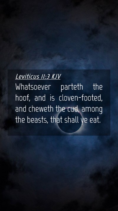 Picture 04 - Leviticus 11:3 KJV Mobile Phone Wallpaper - Whatsoever parteth the hoof, and is - Mobile Bible Verse Wallpaper