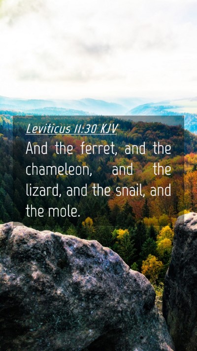 Picture 04 - Leviticus 11:30 KJV Mobile Phone Wallpaper - And the ferret, and the chameleon, and the - Mobile Bible Verse Wallpaper