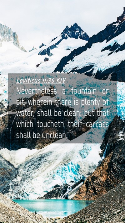 Picture 04 - Leviticus 11:36 KJV Mobile Phone Wallpaper - Nevertheless a fountain or pit, wherein there is - Mobile Bible Verse Wallpaper