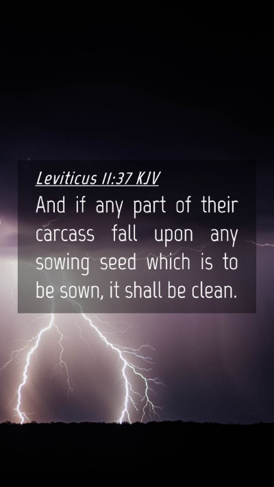 Picture 04 - Leviticus 11:37 KJV Mobile Phone Wallpaper - And if any part of their carcass fall upon any - Mobile Bible Verse Wallpaper
