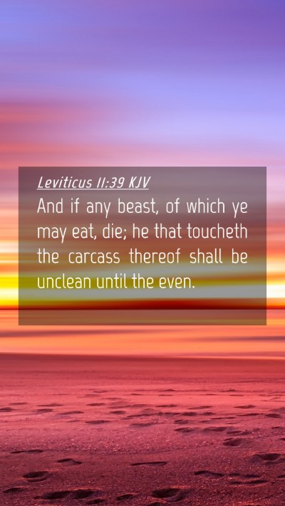 Picture 04 - Leviticus 11:39 KJV Mobile Phone Wallpaper - And if any beast, of which ye may eat, die; he - Mobile Bible Verse Wallpaper