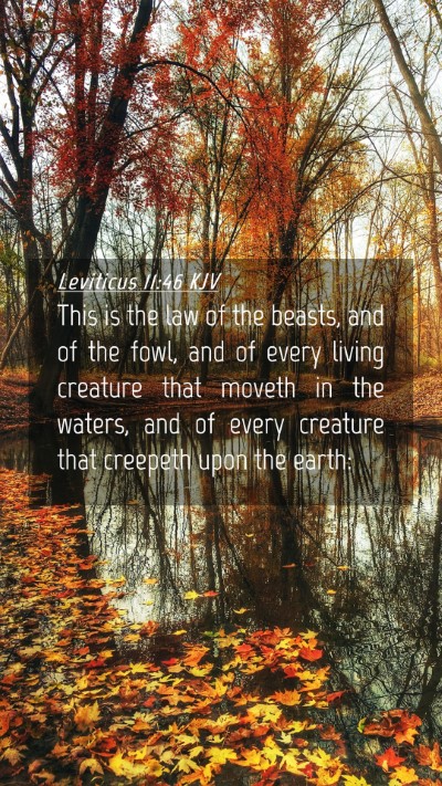 Picture 04 - Leviticus 11:46 KJV Mobile Phone Wallpaper - This is the law of the beasts, and of the fowl, - Mobile Bible Verse Wallpaper