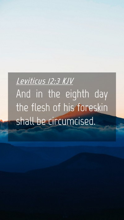 Picture 04 - Leviticus 12:3 KJV Mobile Phone Wallpaper - And in the eighth day the flesh of his foreskin - Mobile Bible Verse Wallpaper