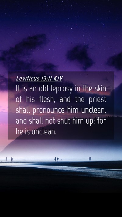 Picture 04 - Leviticus 13:11 KJV Mobile Phone Wallpaper - It is an old leprosy in the skin of his flesh, - Mobile Bible Verse Wallpaper