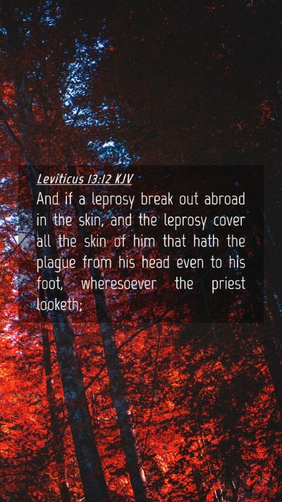 Picture 04 - Leviticus 13:12 KJV Mobile Phone Wallpaper - And if a leprosy break out abroad in the skin, - Mobile Bible Verse Wallpaper