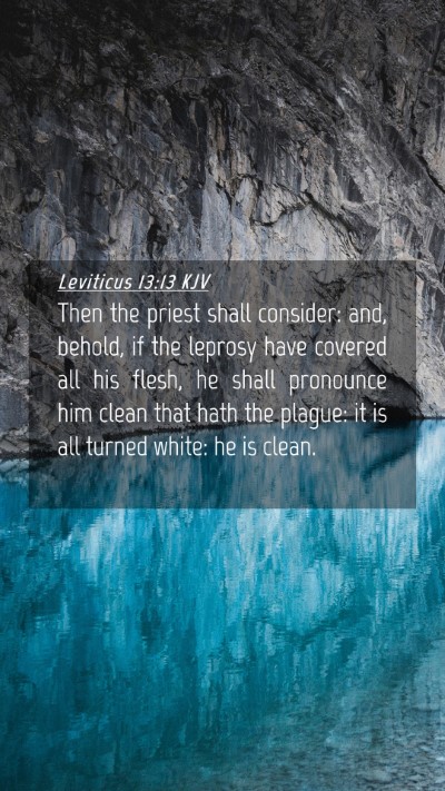 Picture 04 - Leviticus 13:13 KJV Mobile Phone Wallpaper - Then the priest shall consider: and, behold, if - Mobile Bible Verse Wallpaper