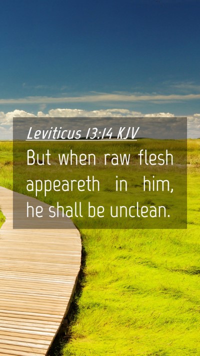 Picture 04 - Leviticus 13:14 KJV Mobile Phone Wallpaper - But when raw flesh appeareth in him, he shall be - Mobile Bible Verse Wallpaper