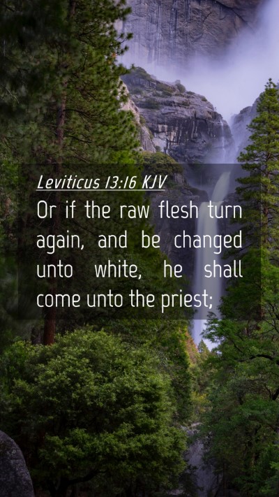 Picture 04 - Leviticus 13:16 KJV Mobile Phone Wallpaper - Or if the raw flesh turn again, and be changed - Mobile Bible Verse Wallpaper