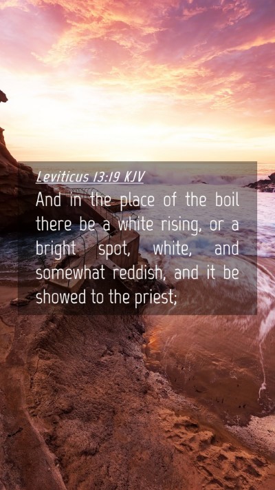 Picture 04 - Leviticus 13:19 KJV Mobile Phone Wallpaper - And in the place of the boil there be a white - Mobile Bible Verse Wallpaper