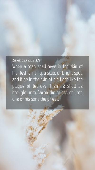 Picture 04 - Leviticus 13:2 KJV Mobile Phone Wallpaper - When a man shall have in the skin of his flesh a - Mobile Bible Verse Wallpaper