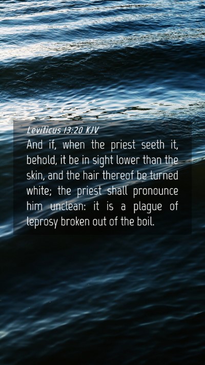 Picture 04 - Leviticus 13:20 KJV Mobile Phone Wallpaper - And if, when the priest seeth it, behold, it be - Mobile Bible Verse Wallpaper