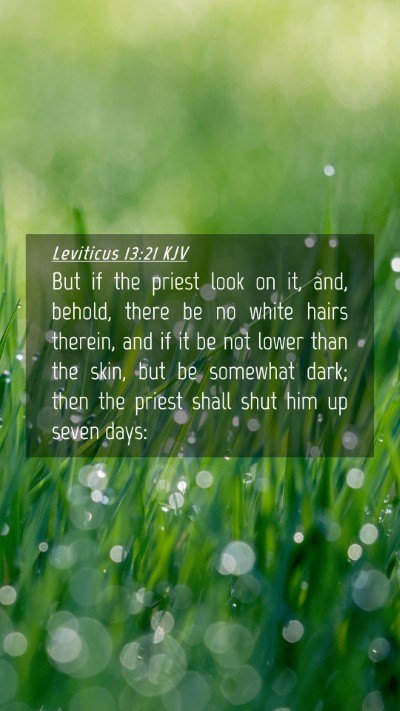 Picture 04 - Leviticus 13:21 KJV Mobile Phone Wallpaper - But if the priest look on it, and, behold, there - Mobile Bible Verse Wallpaper