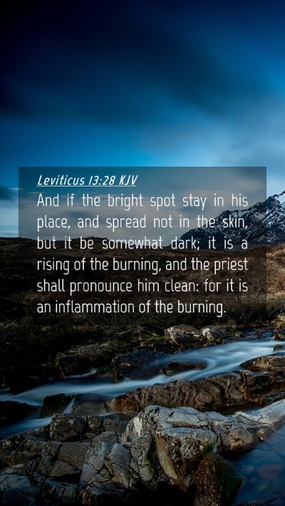 Picture 04 - Leviticus 13:28 KJV Mobile Phone Wallpaper - And if the bright spot stay in his place, and - Mobile Bible Verse Wallpaper
