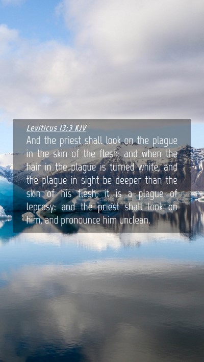 Picture 04 - Leviticus 13:3 KJV Mobile Phone Wallpaper - And the priest shall look on the plague in the - Mobile Bible Verse Wallpaper
