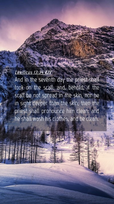 Picture 04 - Leviticus 13:34 KJV Mobile Phone Wallpaper - And in the seventh day the priest shall look on - Mobile Bible Verse Wallpaper
