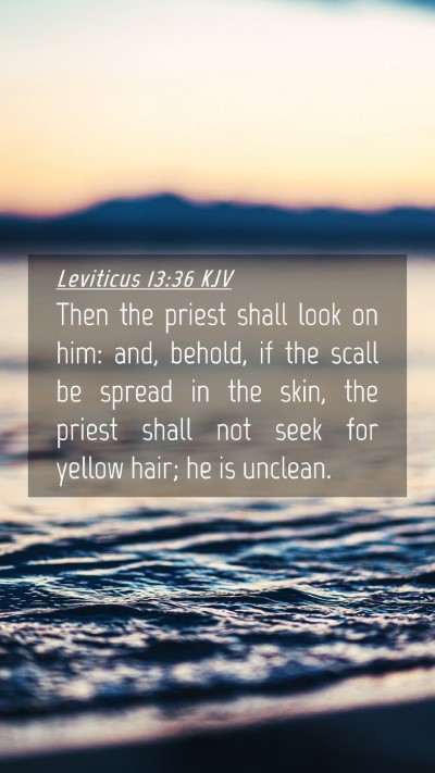 Picture 04 - Leviticus 13:36 KJV Mobile Phone Wallpaper - Then the priest shall look on him: and, behold, - Mobile Bible Verse Wallpaper