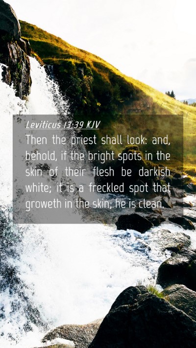 Picture 04 - Leviticus 13:39 KJV Mobile Phone Wallpaper - Then the priest shall look: and, behold, if the - Mobile Bible Verse Wallpaper