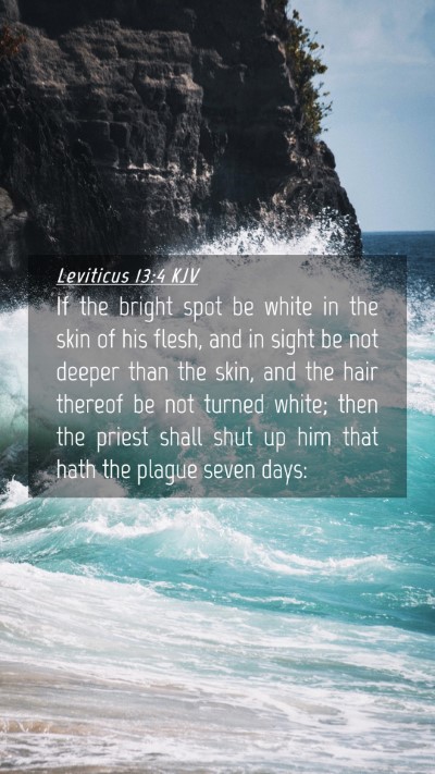 Picture 04 - Leviticus 13:4 KJV Mobile Phone Wallpaper - If the bright spot be white in the skin of his - Mobile Bible Verse Wallpaper