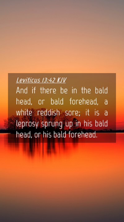 Picture 04 - Leviticus 13:42 KJV Mobile Phone Wallpaper - And if there be in the bald head, or bald - Mobile Bible Verse Wallpaper